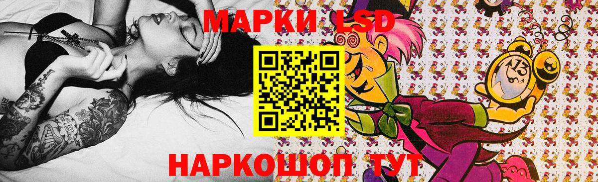 Наркотические марки  купить  сайты  Вход с VPN  Камышлов  Марки 25I-NBOMe 1,5мг 