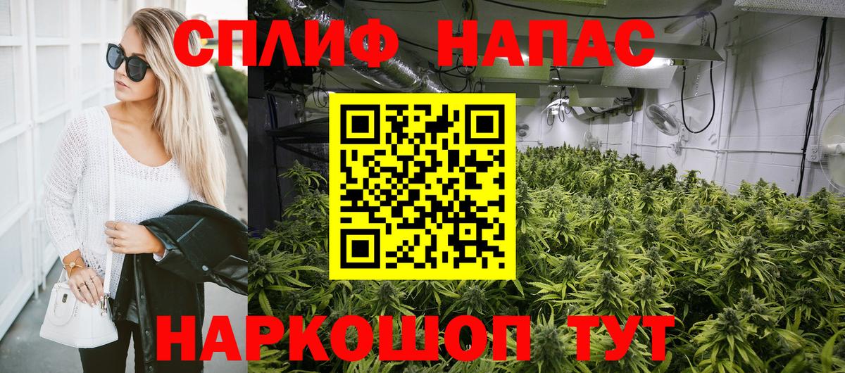 МАРИХУАНА план Камышлов